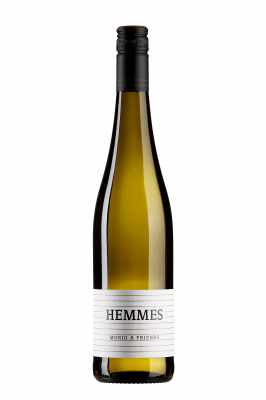 Bild von 2025 Morio & Friends